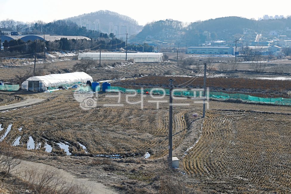 논,개활지,건물,시골,시골풍경,전원,야외