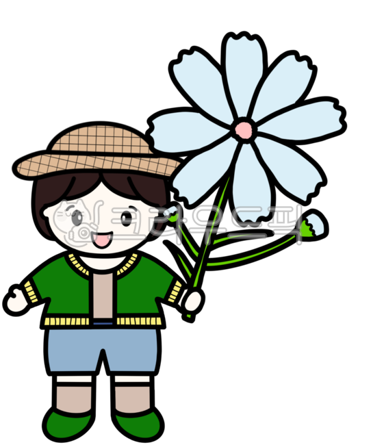 코스모스,코스모스일러스트,꽃,가을꽃,어린이,어린이일러스트,유치원생,학생,사람