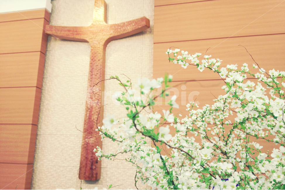 십자가,교회,예배,크리스천,꽃,cross,식물,자연,plants,nature,꽃,flower,종교,신앙,religion,belief,faith