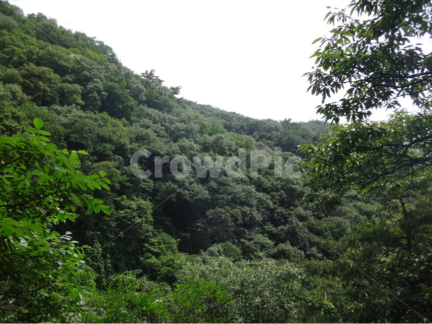 산,자연,풍경,하늘,나무,초록,자연,풍경,nature,landscape,vegetation,초목,plant,식물,tree,outdoors,옥외