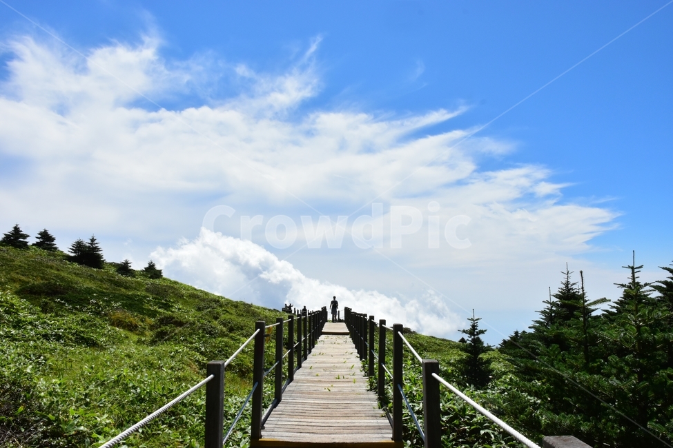영실,한라산,제주,기암괴석,절경,자연,풍경,힐링,여름,계절,탐방,등산,남벽,윗세오름,season,nature,landscape,한국자연풍경,한국자연경관,korea,naturelandscape,제주도,jeju,jejuisland,자연,풍경,nature,landscape,한국자연풍경,한국자연경관,korea nature landscape,bridge,다리,boardwalk,산책로,building,건물