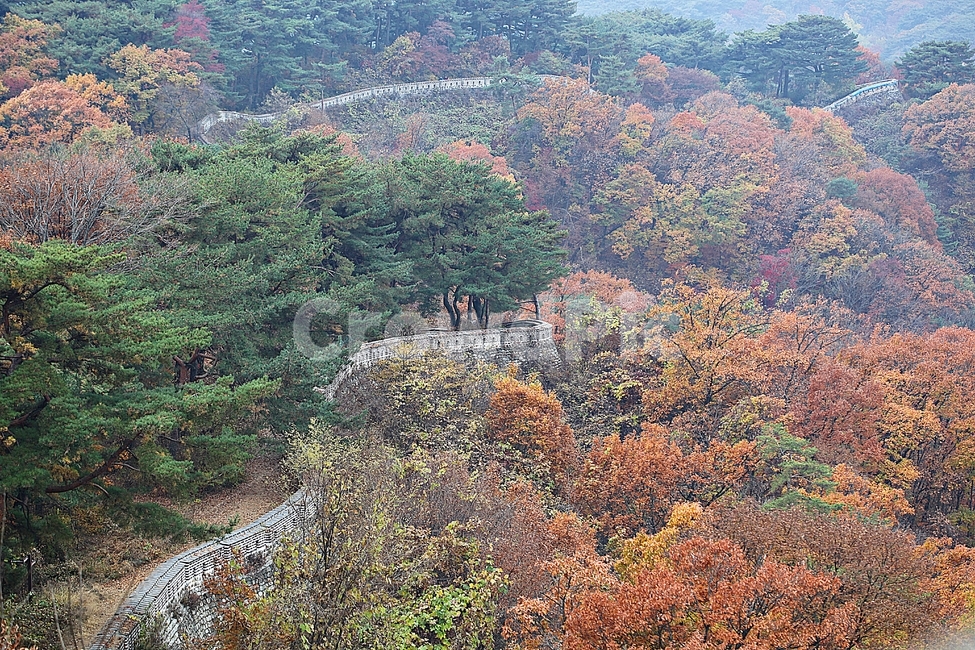 남한산성,성,성곽,단풍,낙엽,길,둘레길,숲,숲길,담,돌담,가을,자연,풍경,벽,울긋불긋,산성,식물,가을,계절,fall,autumn,season