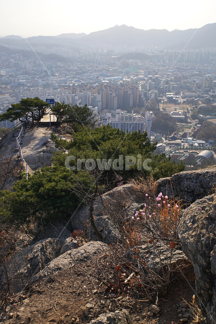 모락산,경기도,의왕시,안양시,도심풍경,전망대,모락산전망대