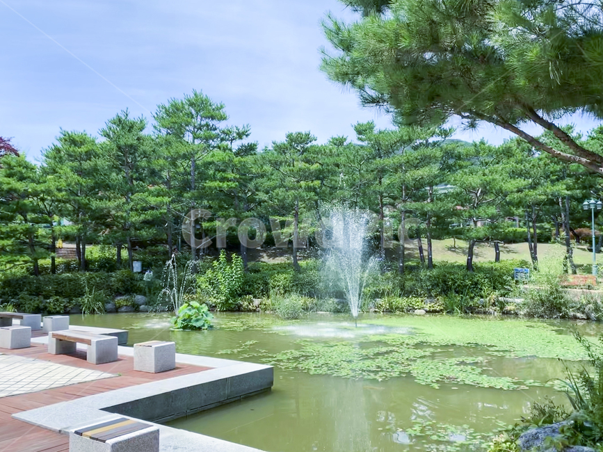 outdoors,물,옥외,분수,자연,풀,나무,풍경,연못,trees,water,fountain,pond,nature,landscape