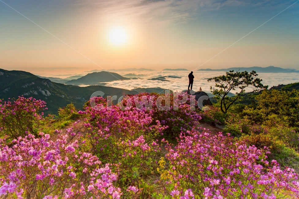 봄,황매산,여행,철쭉,등산,봄,계절,spring,season,자연,풍경,nature,landscape,한국자연풍경,한국자연경관,korea nature landscape,식물,plants,꽃,flower,사람,인물,인간,human,person,인물실루엣,사람실루엣,character silhouette,human silhouette,light,빛,flare,플레어,outdoors,옥외