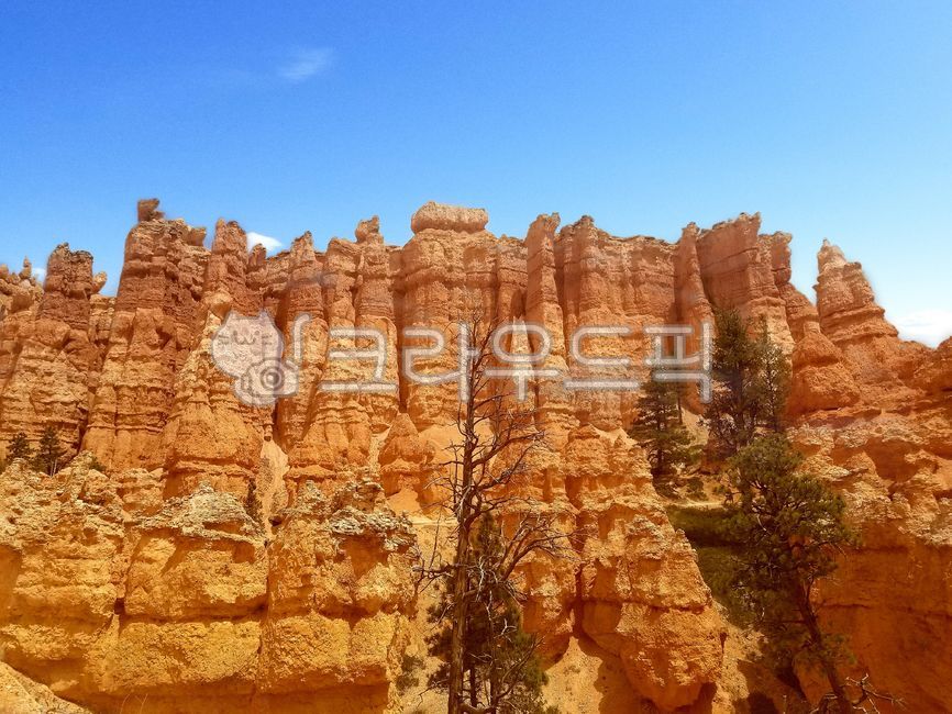 A national park,Overseas,scenery,nationalpark,Utah,foreign country,Foreign natural scenery,america,Overseas natural scenery,larynx,mountain,spire,sight,Bryce Point,brycepoint,USA,nature,Bryce Canyon National Park,utha,brycecanyon,Bryce Canyon,outdoors,hoo