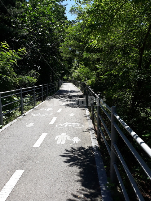자전거도로,경치,따스한,자전거,산책,운동,길,자연,풍경,nature,landscape,railing,난간,banister,handrail