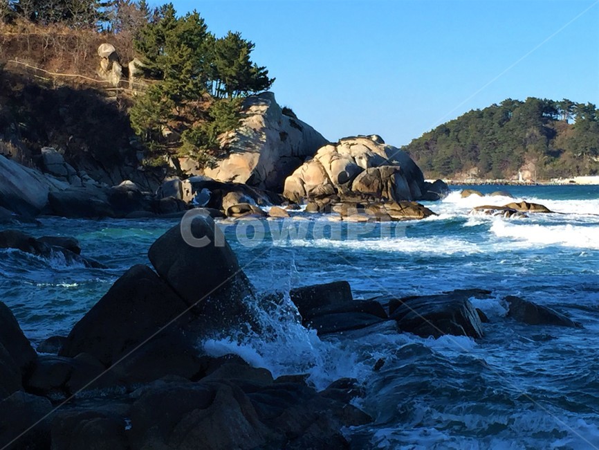 파도,바다,바위,역동적,자연,동해바다,순간,자연,풍경,nature,landscape,ocean,대양,water,물,outdoors,옥외,sea,promontory,곶,shoreline,해안선,land,땅