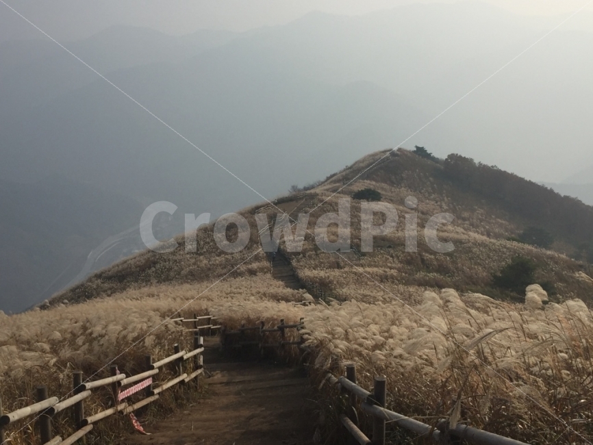산,풍경,mountain,민둥산,강원도,자연,풍경,nature,landscape,한국자연풍경,한국자연경관,korea nature landscape,outdoors,옥외
