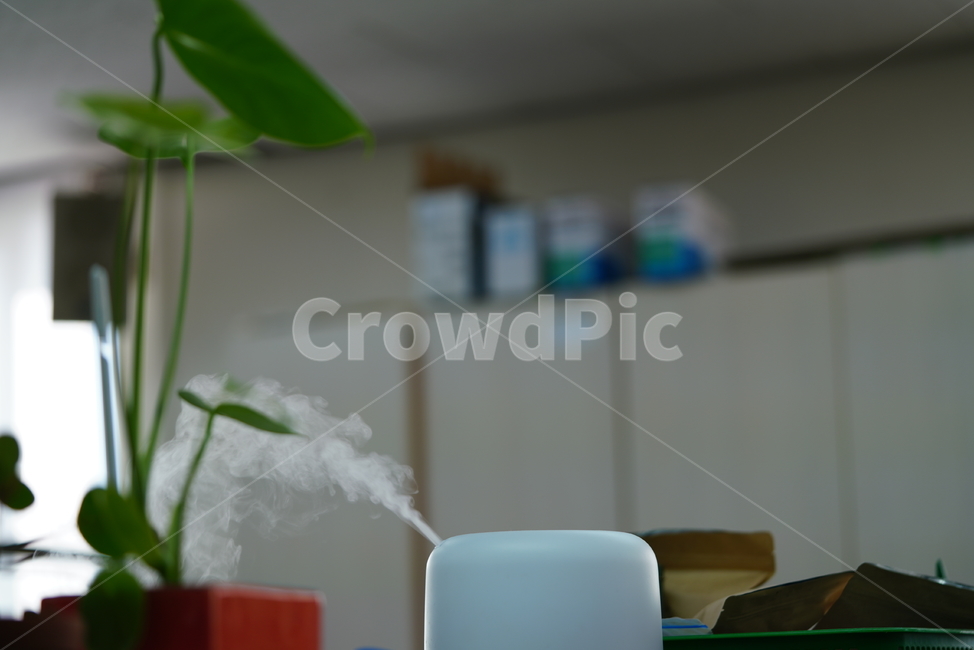 사무실,가습기,식물,생물,오피스,office,직장,회사,기계,실내,수분