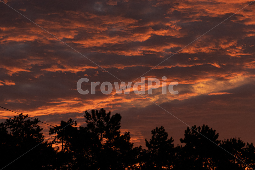 황혼,nature,자연,sunset,일몰,옥외,자연,풍경,nature,landscape,outdoors,dawn,새벽,red sky,붉은 하늘,sky,하늘,dusk