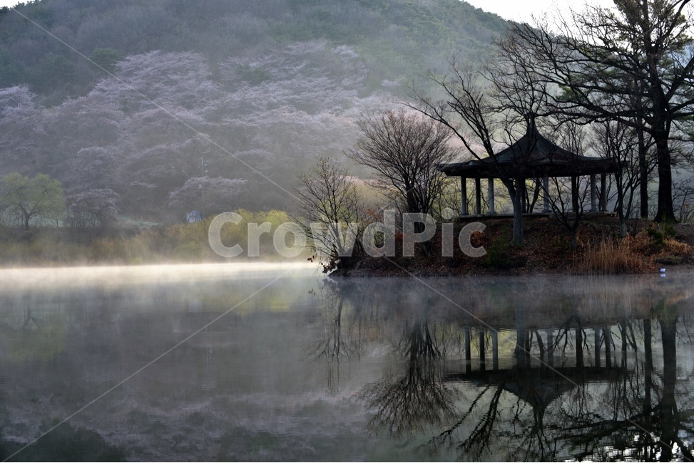 몽환,안개,자연경관,풍경,물,산,음산,적막,고요,아름다운,자연풍경,조용,자연,풍경,nature,landscape,한국자연풍경,한국자연경관,korea nature landscape