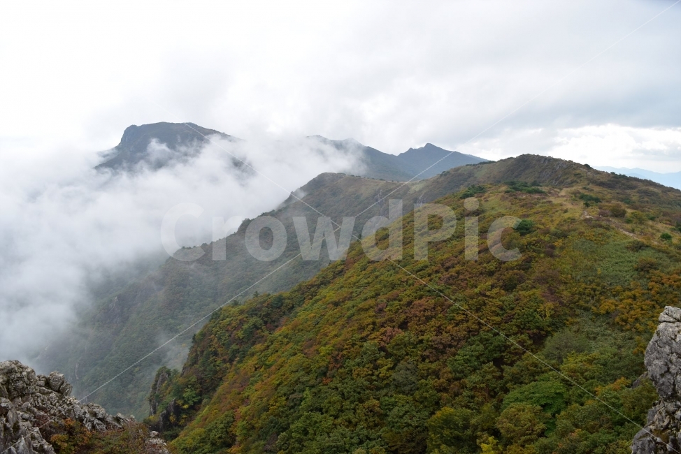 영축산,신불산,영남알프스가을,단풍,풍경,낙엽,명산,자연,비경,단풍나무,가을색,가을색채,오색단풍,가을단풍,운해,장관,구름,억새,영알,억새평전,mountain,landscape,가을,계절,fall,autumn,season,자연,풍경,nature,landscape,한국자연풍경,한국자연경관,korea nature landscape,outdoors,옥외,산,mountain range,산맥