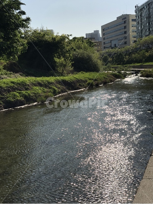 서울,청계천,종로구,산책,서울시