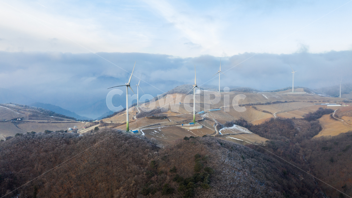 강릉,안반데기,풍력발전,아침,안개,산,산업,industry,industrial,에너지산업,energy industry