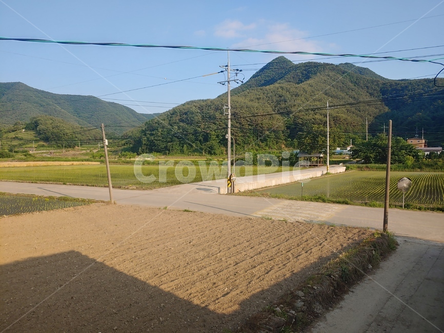 시골,한적함,평온,시골풍경,화창