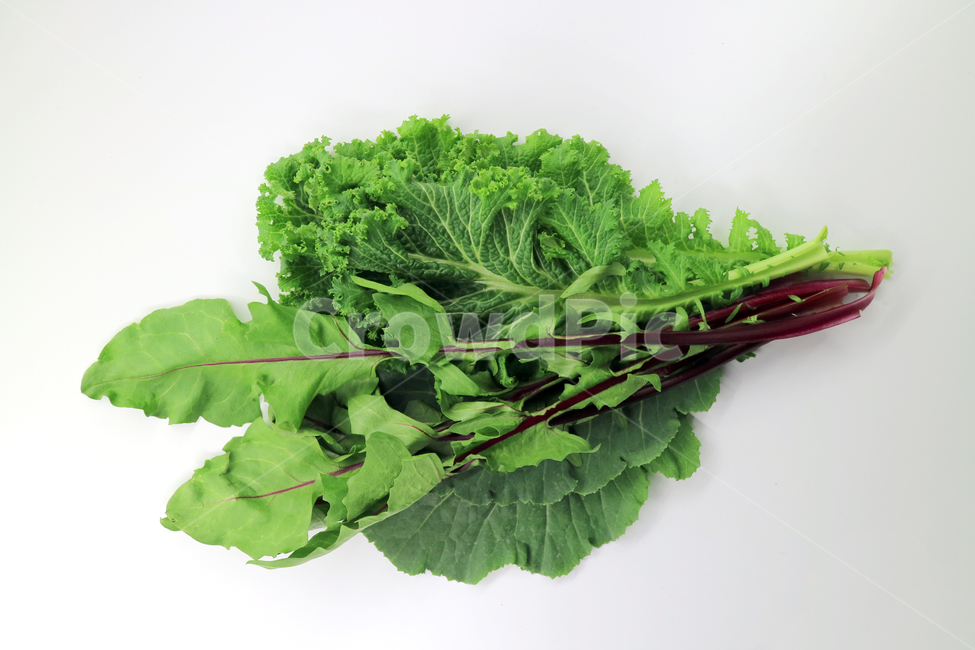 쌈채소,채소,야채,음식,식재료,food,모듬채소,모듬쌈,건강,웰빙,다이어트,샐러드,요리,식품,싱싱한,신선한,fresh,오브젝트,누끼,봄동,치커리,적근대,비타민,음식,식재료,요리,food,cook,meal,dishes,food reserves,채소,야채,vegetables,누끼,remove background