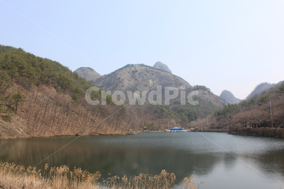 마이산,마이산타포니,호수,소나무,갈대,푸른하늘,봄산,mountain,lake,자연,풍경,nature,landscape,한국자연풍경,한국자연경관,korea nature landscape,outdoors,옥외,water,물