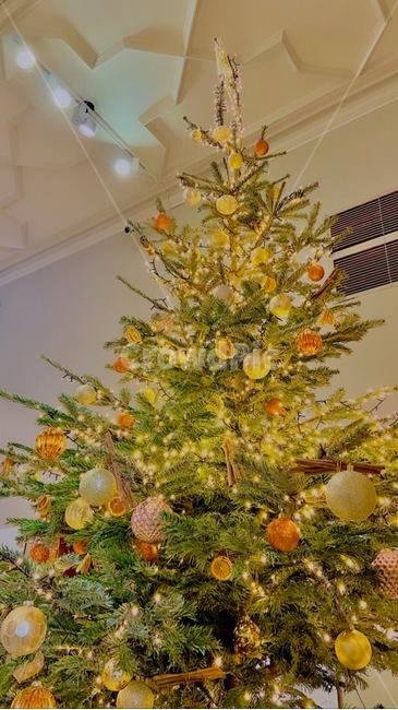 크리스마스트리,크리스마스,트리,christmastree,트리데코,나무,식물,따뜻함,warm,장식,감성,분위기,배경화면