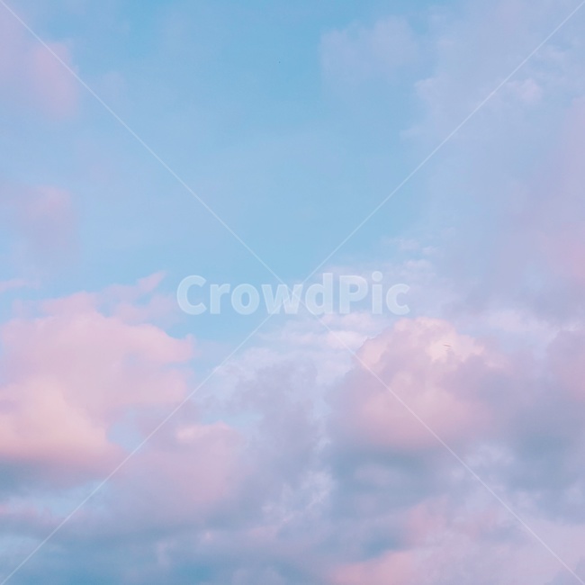 nature,자연,sky,하늘,핑크색구름