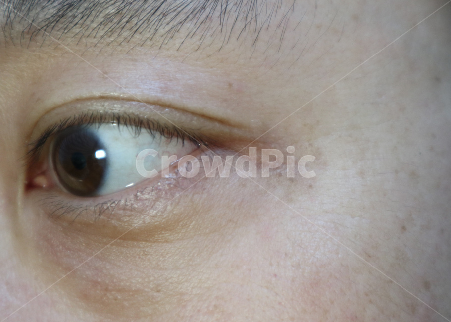 눈,눈동자,눈주변,기미,피부,피부과,쌍거풀,쌍꺼풀,eye,노화,주름,신체,안과,동공,사람눈,잡티,속눈썹,사람,인물,인간,human,person,신체일부,몸,body