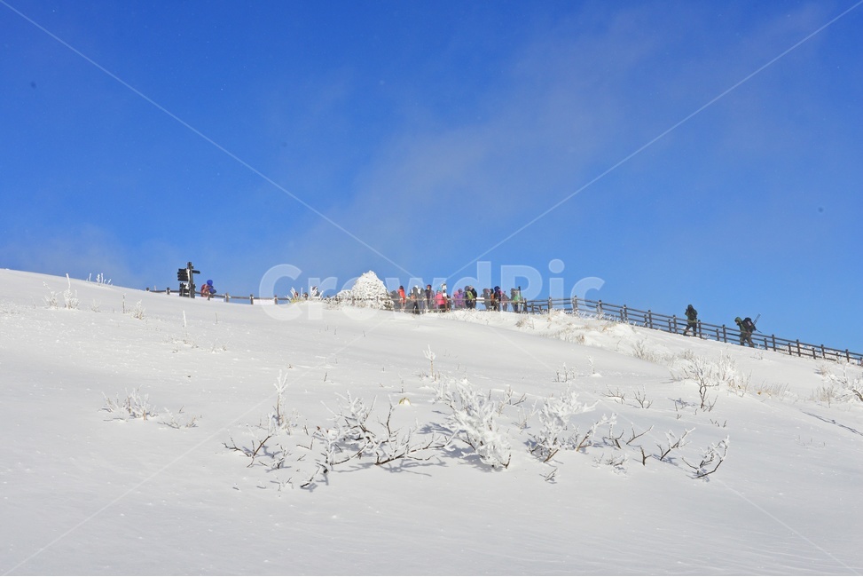 전북,무주,설천봉,상고대,상제루,mountainrange,산맥,winter,겨울,blizzard,눈보라,storm,폭풍,nature,자연,outdoors,옥외,ice,빙,snow,눈,mountain,산,향적봉,person,사람,human,인간,slope,경사