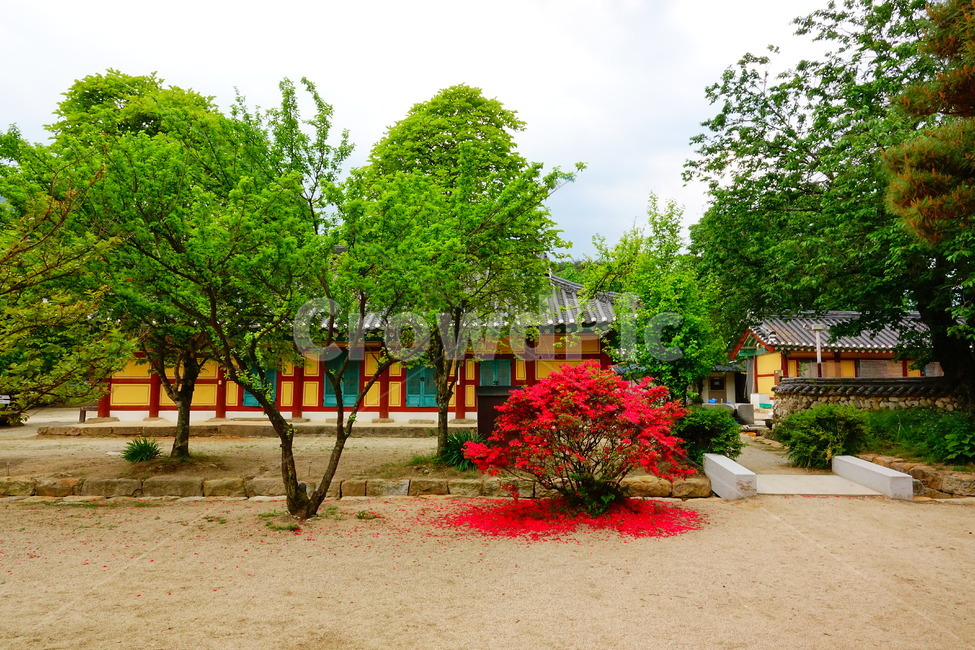실상사,봄,사찰,남원,천년고찰,한국전통,한국문화,korean traditional,korean culture,건축물,건물외관,exterior,building,structure,architecture,construction