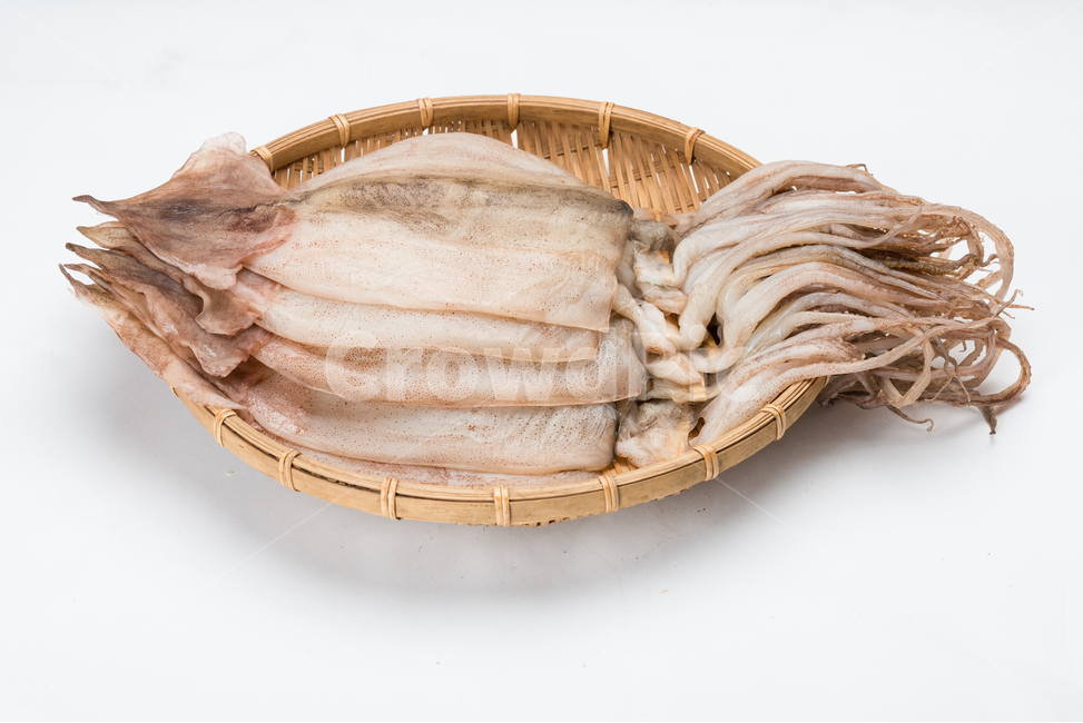 오징어,반건조오징어,반건조해산물,수산물,수산품,음식,식재료,요리,food,cook,meal,dishes,food reserves,수산물,해산물,fishery products,seafood,누끼,remove background