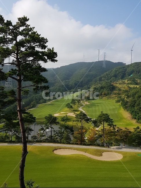 골프장,필드,그린,잔디,골프,스포츠,레저,운동,sports,leisure,exercise