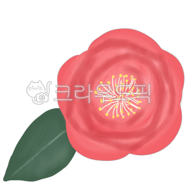 동백,동백꽃,핑크동백,제주,camellia,꽃,flower