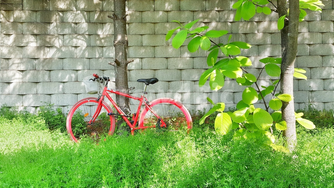 자전거,기다림,빨간,초록,나무,색상,색채,휴식,자연,힐링,nature,landscape,rest,healing,감성,빛,나뭇잎,색,칼라,색감,운동,식물,plants,trees,wood,relaxation