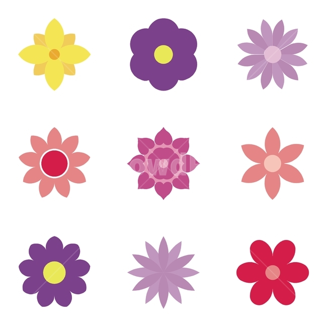 꽃,flower,blossom,plant,식물,꽃잎,디자인소스,패턴,pattern,반복패턴,무늬,칼라패턴,심플패턴,포장지