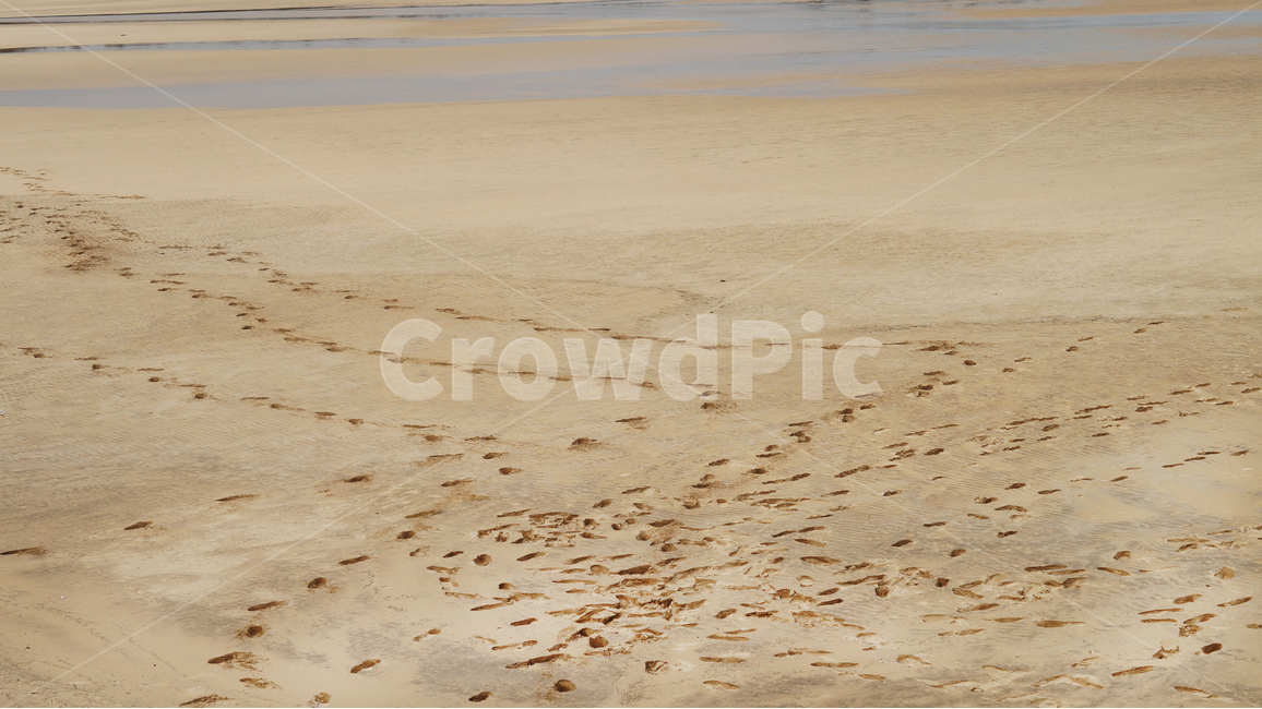 해수욕장,발자국,모래,해변,발자취,기억,해변,바다,beach,sea