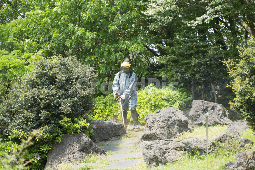 예초기,제초기,예초,풀베기,작업,커터,장비,녹색,도구,농업,농부,잔디,산업,남자,자연,풍경,생태,환경,기름,식물,사람,인물,인간,human,person,산업,industry,industrial