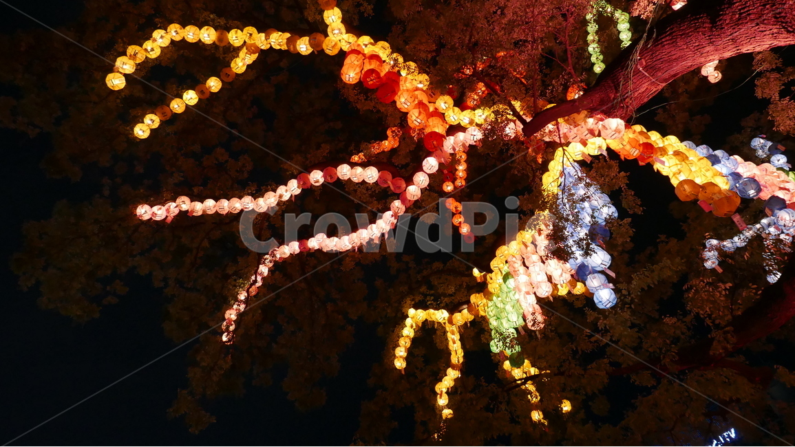 등불,절,등,조계사,오색등,야경,밤,풍경,nightscape,night,landscape,종교,신앙,religion,belief,faith,crowd,군중,festival,제전