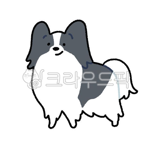 파피용,빠삐용,강아지,개,동물,멍멍이,포유류,dog,puppy,animal