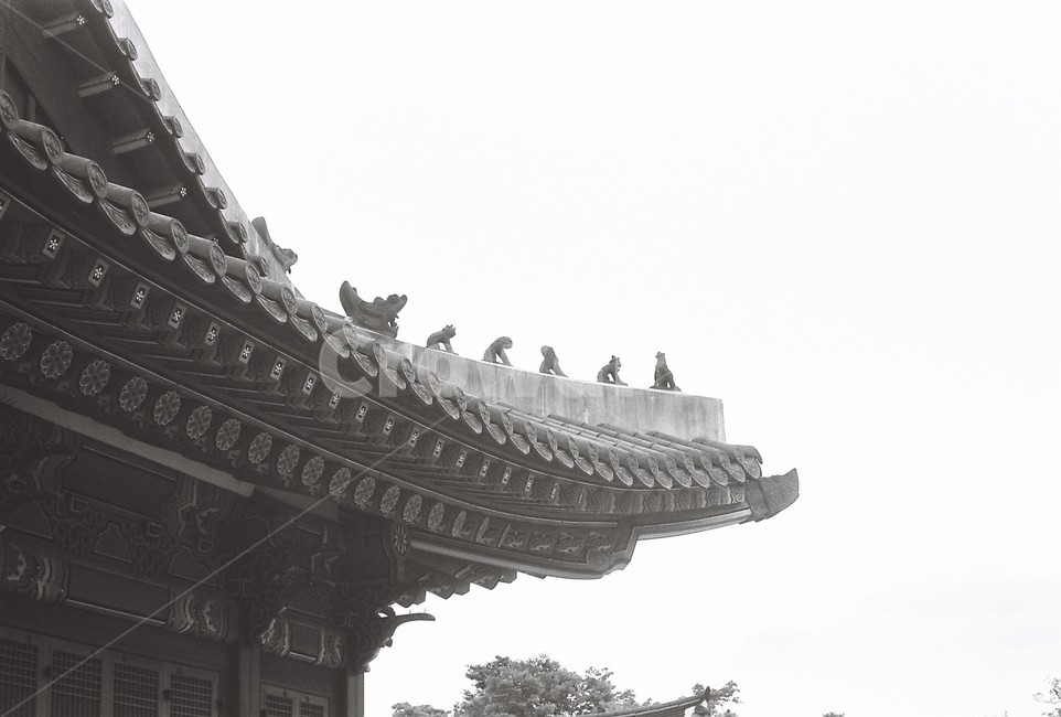 한국전통,궁,경복궁,한국전통궁궐,koreanpalace,koreantraditional,koreanculture,한국전통,한국문화,korean traditional,korean culture,흑백,모노톤,monochrome,black and white,건축물,건물외관,exterior,building,structure,architecture,construction