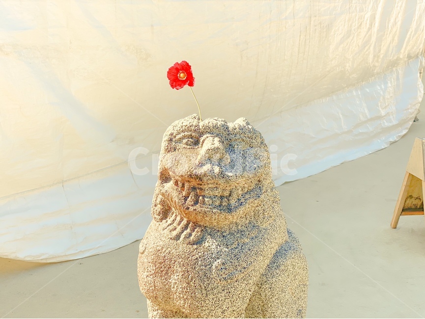 해태,조각상,돌,stone,sculpture,돌조각,statue,haetae,꽃,flower,smile,웃음