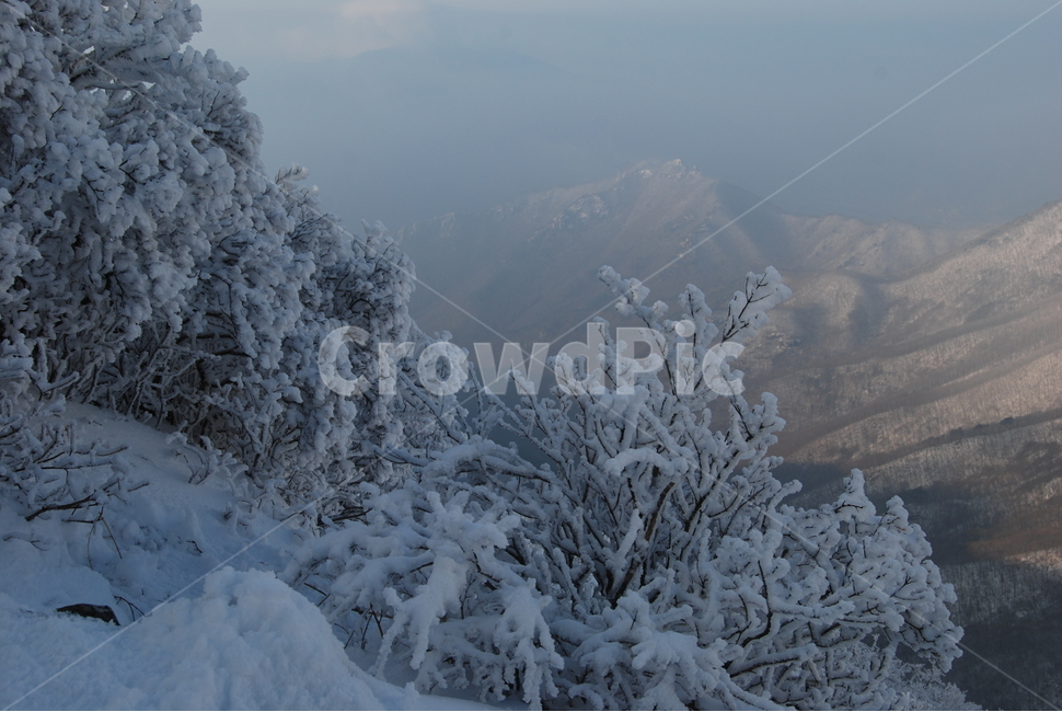 겨울,산,눈,공원,탐방로,겨울,계절,winter,season,자연,풍경,nature,landscape,한국자연풍경,한국자연경관,korea nature landscape,outdoors,옥외,ice,빙