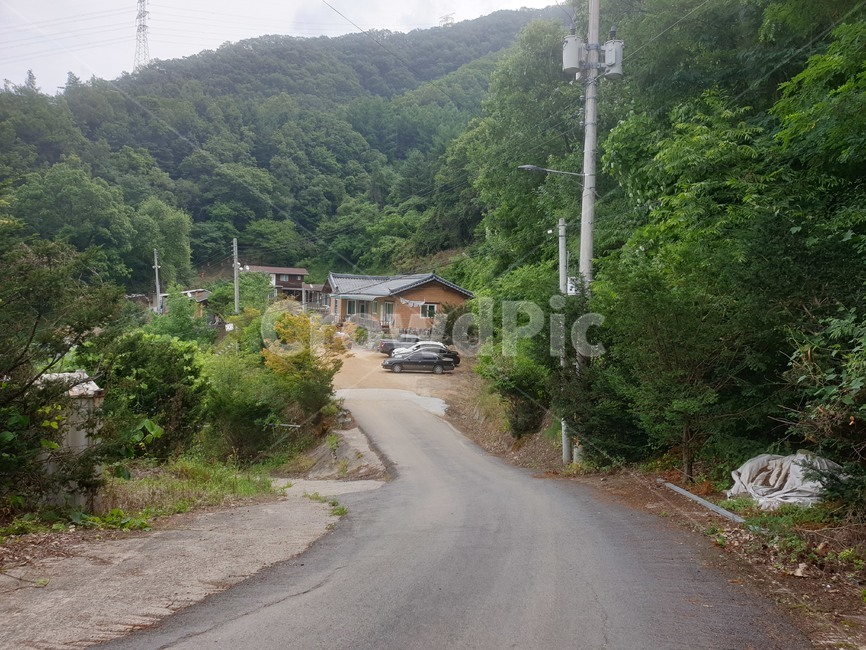자연,시골길,도로,시골도로,여름