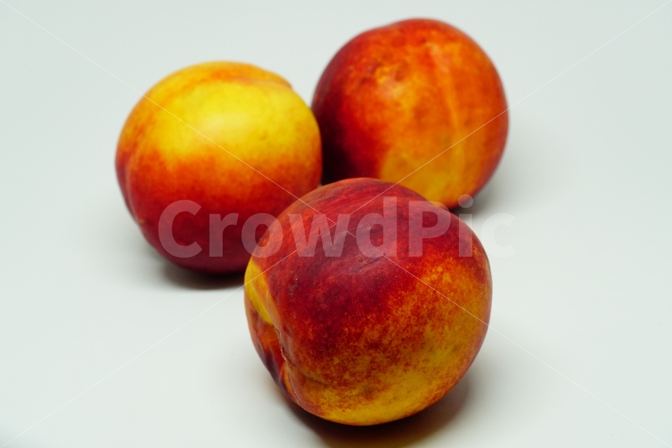 누끼,누끼사진,과일,복숭아,fruit,식물성,사물,object,음식,열매,야채,채소,디저트,cook,food,meal,간식,비타민,맛있는,맛있다,신선한,신선함,신선하다,신선,식자재,결실,싱싱한,싱싱하다,싱싱함,농산물,농작물,dessert,vegetable,과실,peach,오브젝트,음식,식재료,요리,food,cook,meal,dishes,food reserves,과일,열매,fruit,누끼,remove background