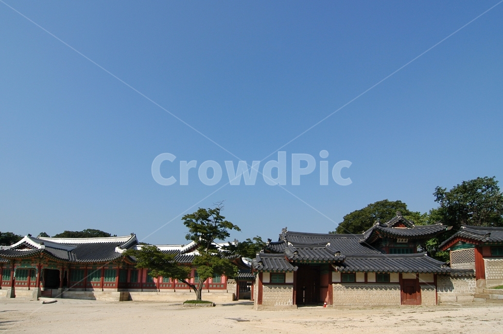 창덕궁,희정당,성정각,한옥,궁,고궁,궁궐,전통,한국,한국전통,전통건축,건축,건축물,전통건축물,서울,문화재,기와집,배경,바탕,백그라운드,한국전통,한국문화,korean traditional,korean culture,랜드마크,landmark,tourist attraction,한국랜드마크,한국관광지,한국명소,korea landmark,korea tourist attraction