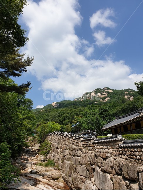 산,바위,돌,돌담,자연,담쟁이