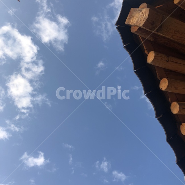 하늘,가을,구름,나무가지,감,나무,가을하늘,겨울하늘,풍경,sky,cloud,tree,한국전통,한국문화,korean traditional,korean culture