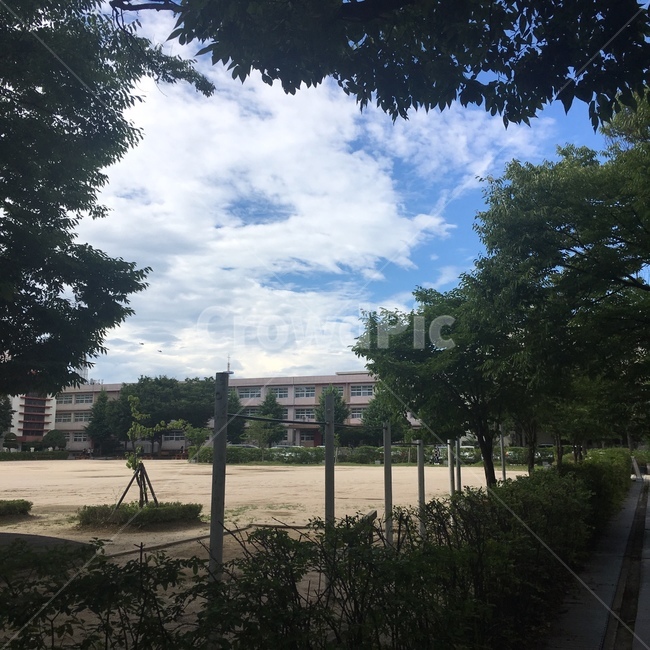 나무,하늘,철봉,학교,구름,sky,schcool