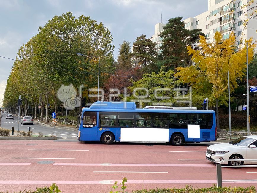 bus,commercial,commercialadvertisement,square billboard,outdoor advertising,sign board,citybusadvertisement,outdooradvertisement,Mockup image,commercialbillboard,busadvertisement,advertisingdesign,emptied,billboard,emptyspace,empty place,background,bus ad