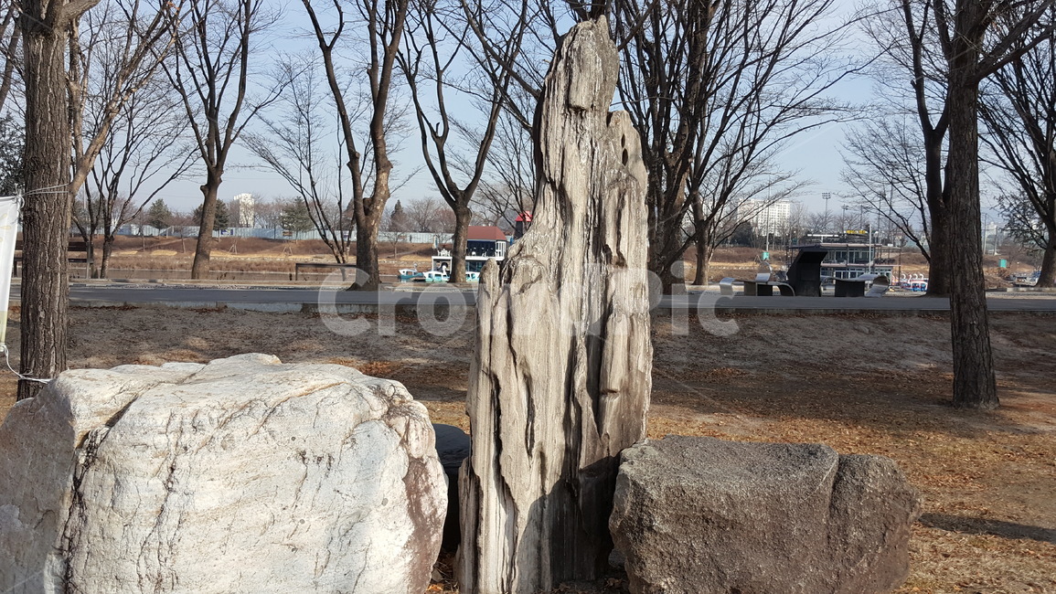 공원,조경,자연,풍경,공원조경,바위,암석,멋진바위