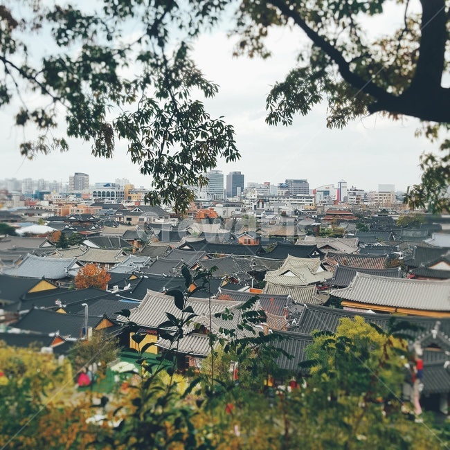 풍경,전주,도시,전주한옥,한옥,자연한옥,궁,전주풍경