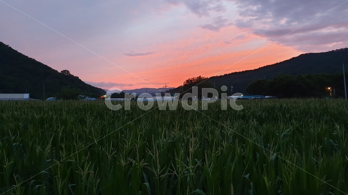 석양,해돋이,저녁,밤,야산