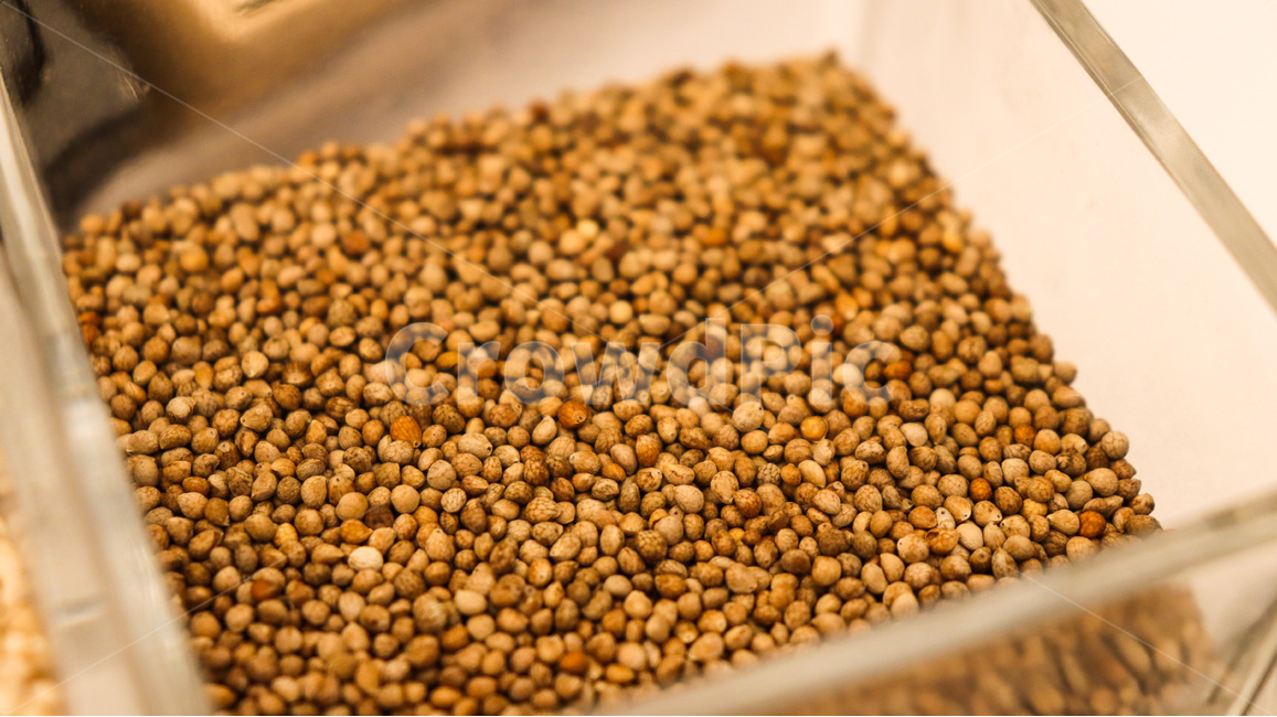 깨,들깨,참깨,가을,곡식,음식,식재료,요리,food,cook,meal,dishes,food reserves,곡류,곡식,cereals